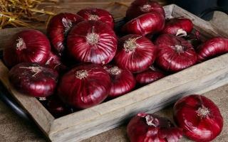 Yalta kırmızı soğan neden yararlı ve zararlıdır?
