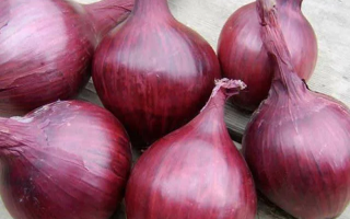 Kırmızı soğan: kullanışlı özellikler, nasıl pişirilir