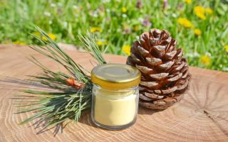 Pine pollen: sifat berguna dan kontraindikasi, cara pengambilan, ulasan