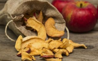 Was sind die Vorteile von getrockneten Äpfeln, Kaloriengehalt, Rezept und Lagerung