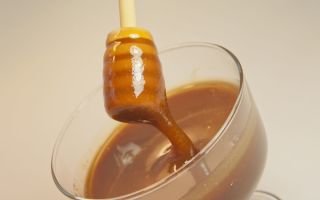 Läkemedelsegenskaper, hur man förbereder och tar honung med propolis