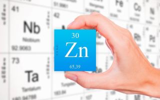 Hvorfor har kroppen brug for zink, hvor den er indeholdt, den daglige sats
