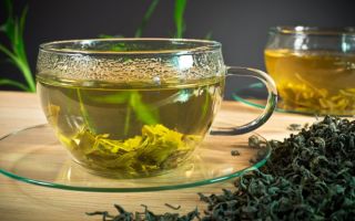 Zelený čaj: prospešné vlastnosti, kontraindikácie, znižujú alebo zvyšujú krvný tlak
