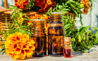 How to prepare, application and reviews of marigold oil