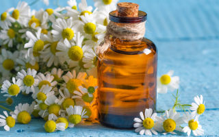 Tính chất và công dụng của tinh dầu hoa cúc làm mỹ phẩm