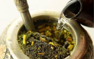 Herbata Mate (Mate): korzyści i szkody, recenzje