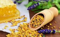Pollen: nyttige egenskaber og kontraindikationer, hvordan man tager