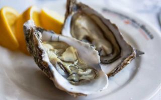 Oysters: useful properties, composition and contraindications