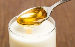 Medizinische Eigenschaften von Propolis mit Milch und Kontraindikationen zur Anwendung