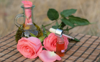 Aceite esencial de rosa: damasco, marroquí, búlgaro y té
